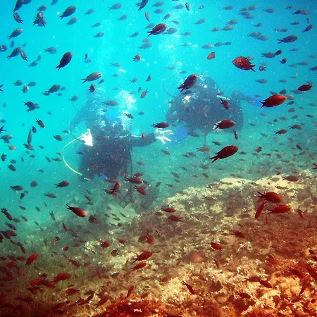 Hotel Kassandra Mare 4*