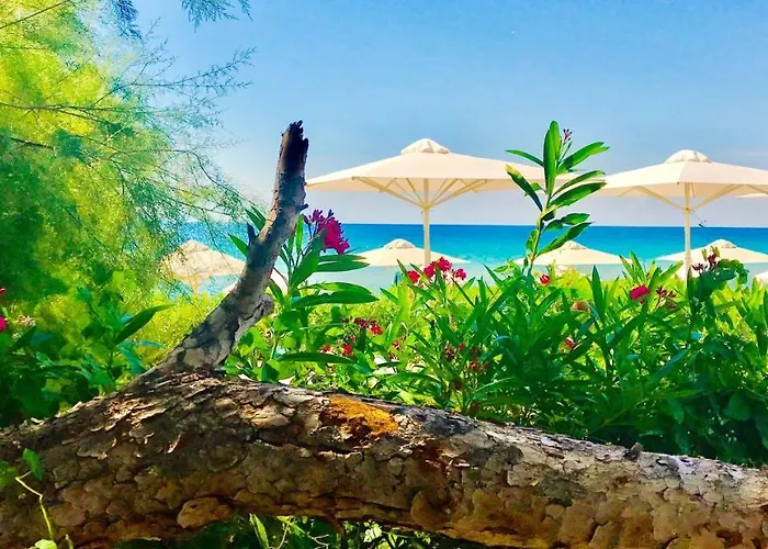 Kassandra Mare Hotel 4*