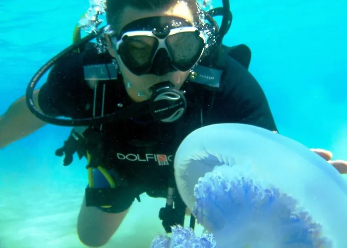 Kassandra Mare Hotel Nea Poteidaia