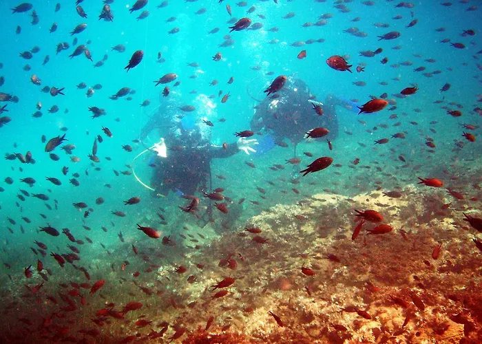 Hotel Kassandra Mare 4*